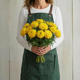 Yellow Inca II, Marigold Seeds